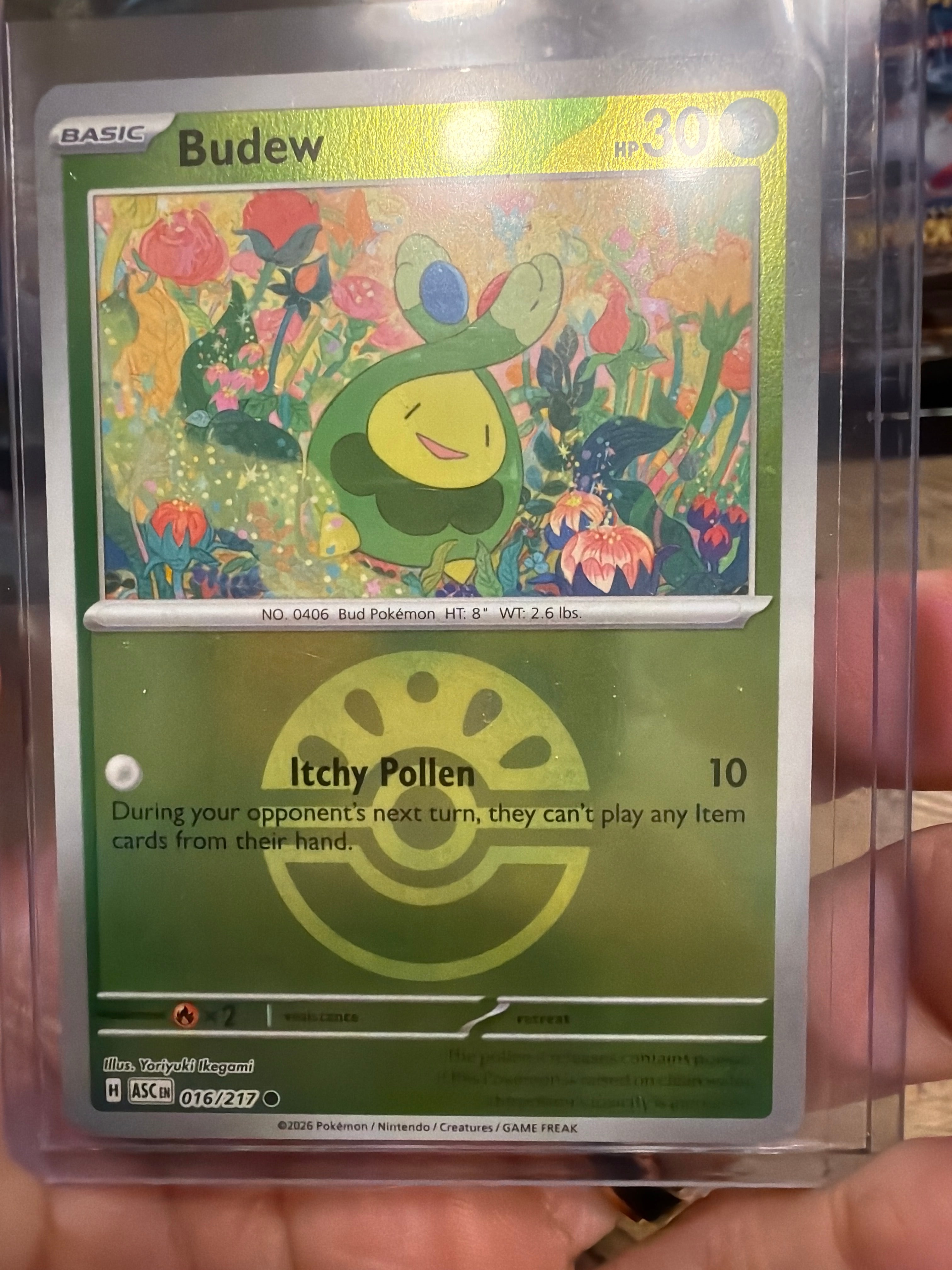 Budew - 016/217 (Friend Ball) - ME: Ascended Heroes (ASC)