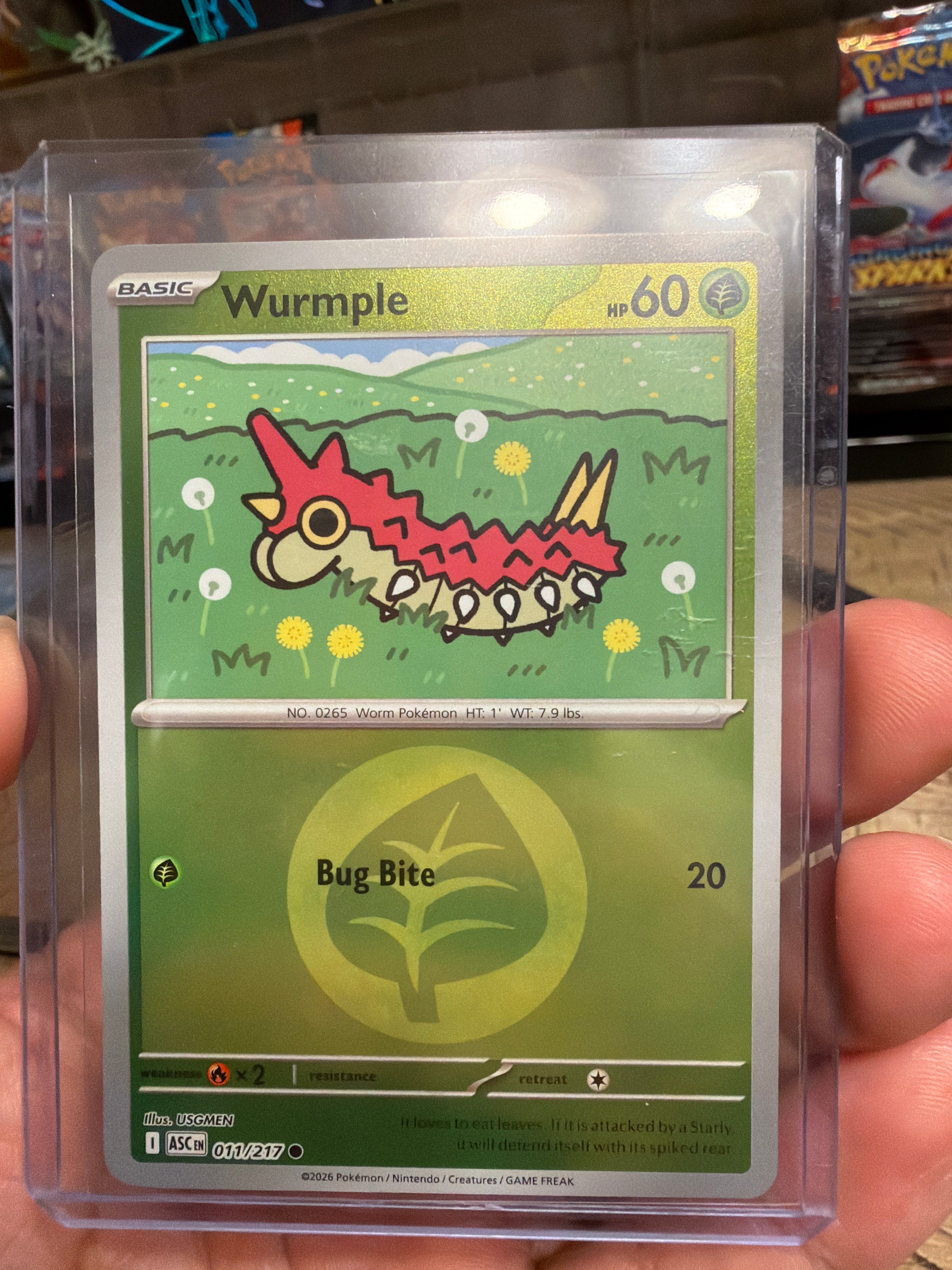 Wurmple (Energy Symbol Pattern) - ME: Ascended Heroes (ASC)