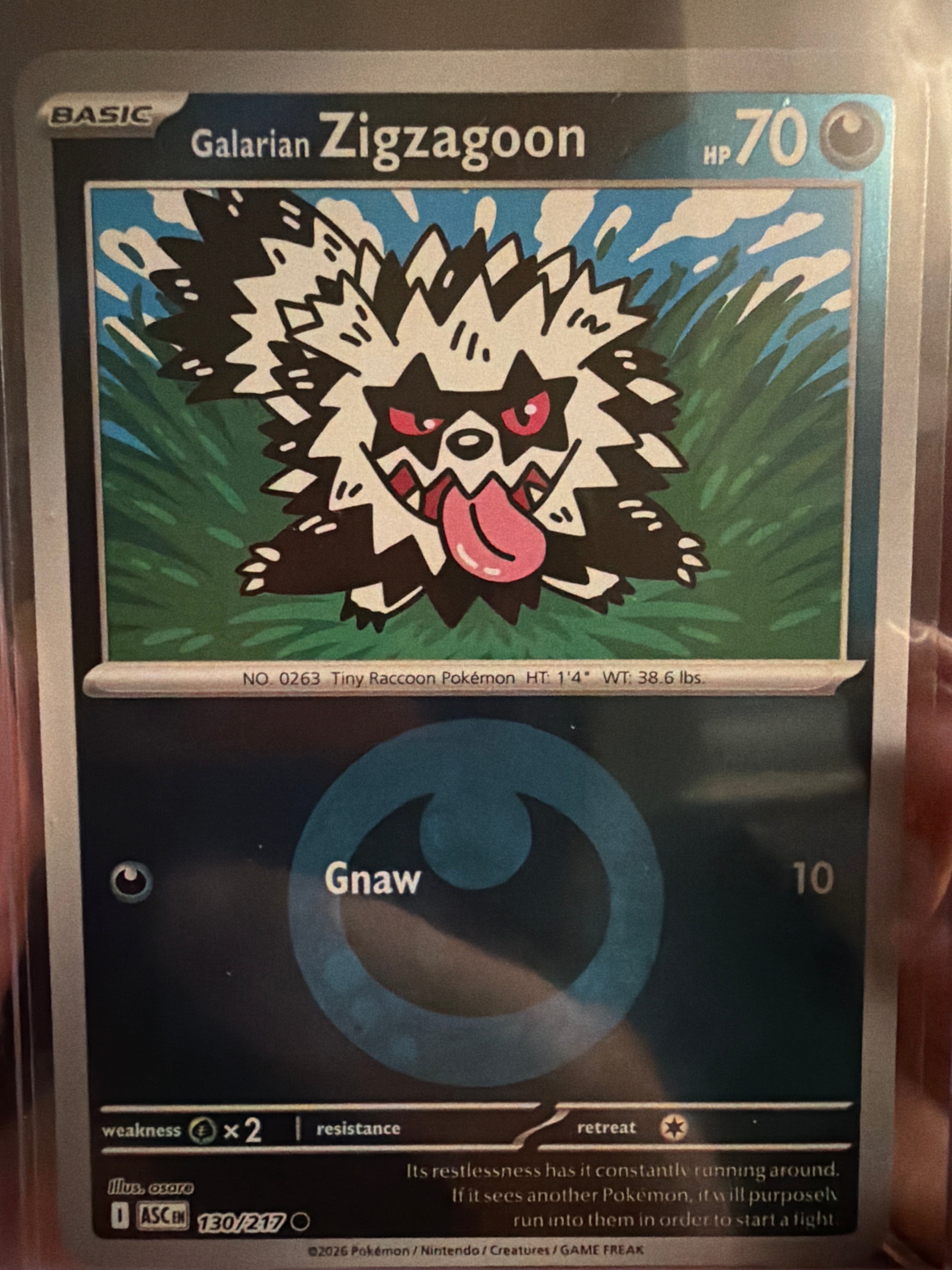 Galarian Zigzagoon (Energy Symbol Pattern) - ME: Ascended Heroes (ASC)