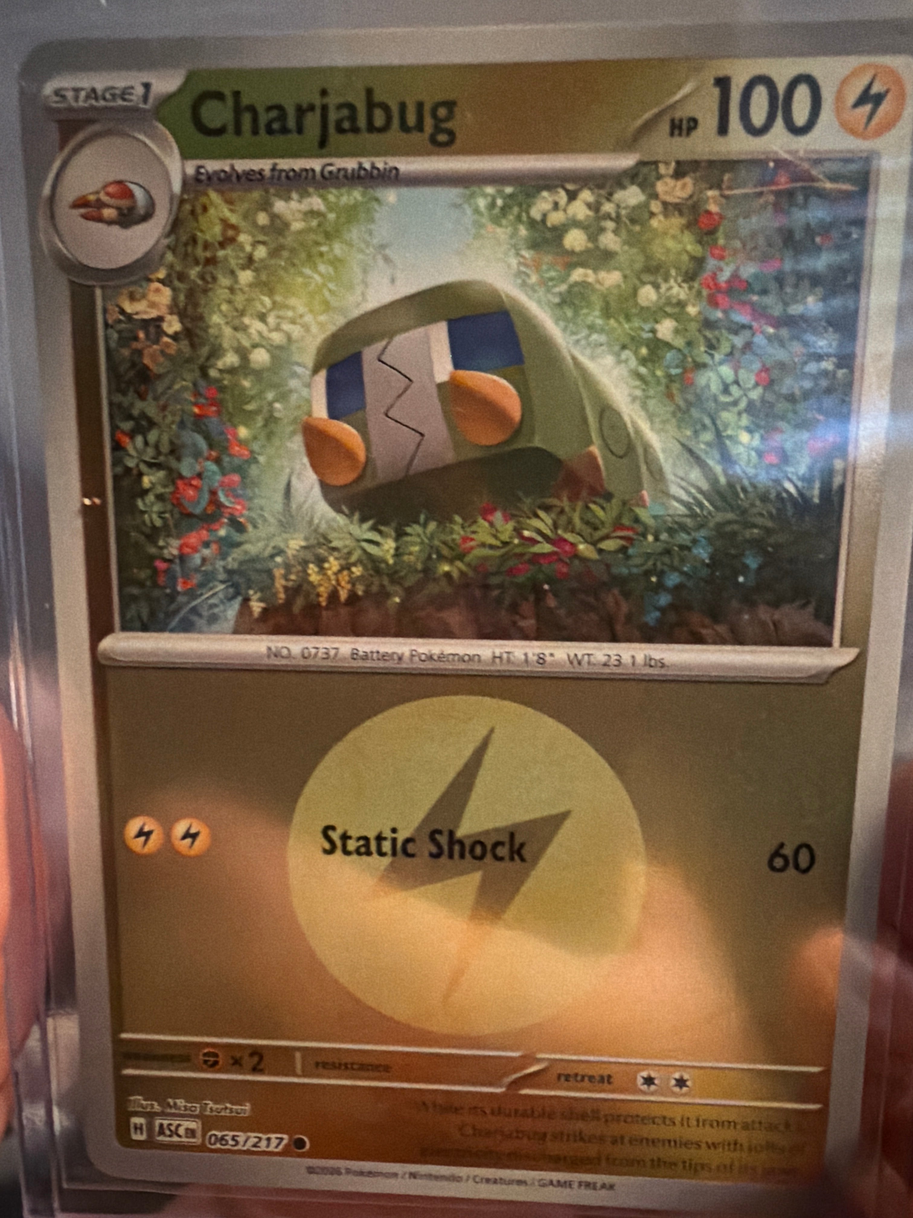 Charjabug (Energy Symbol Pattern) - ME: Ascended Heroes (ASC)