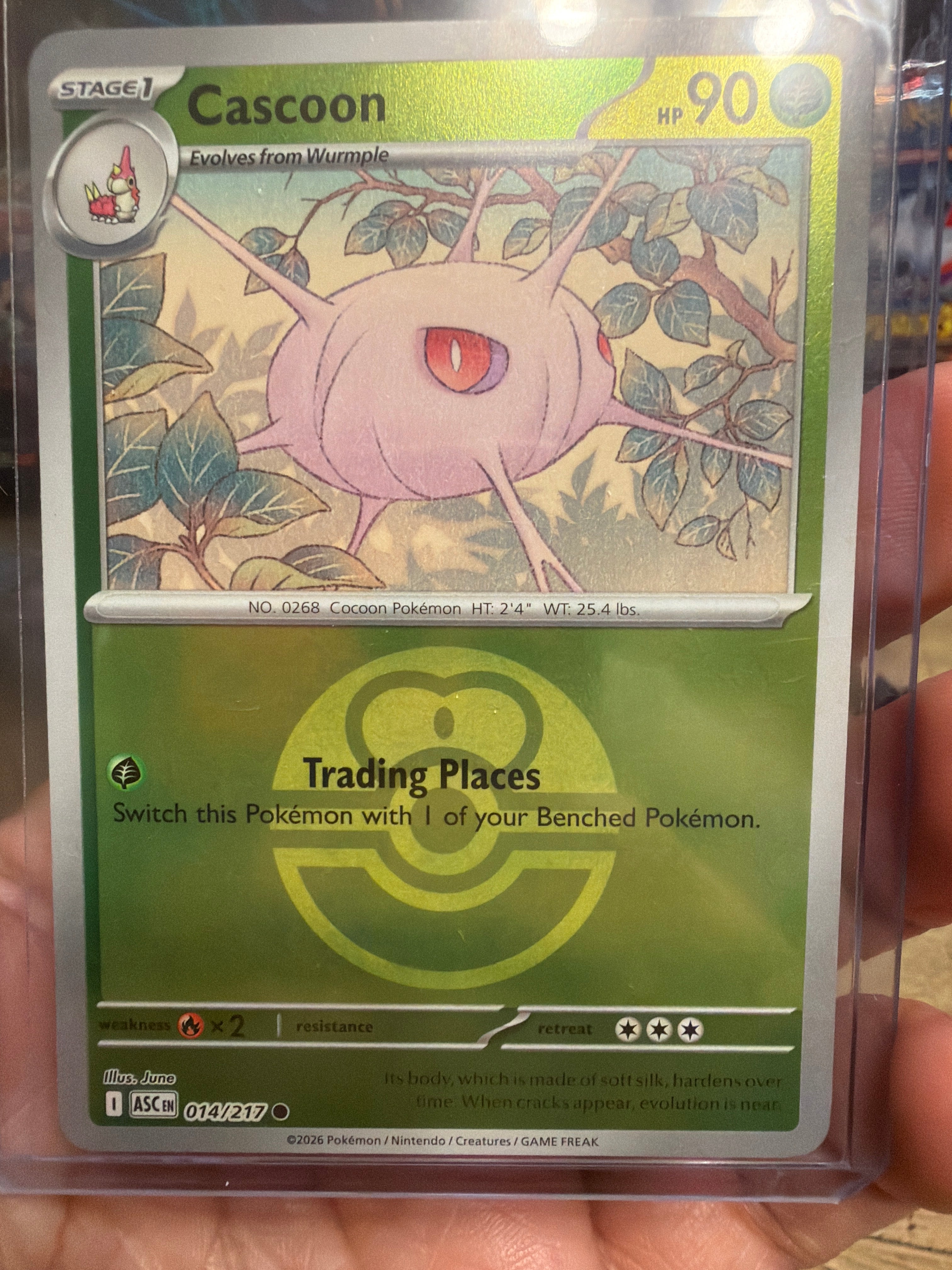 Cascoon (Love Ball) - ME: Ascended Heroes (ASC)