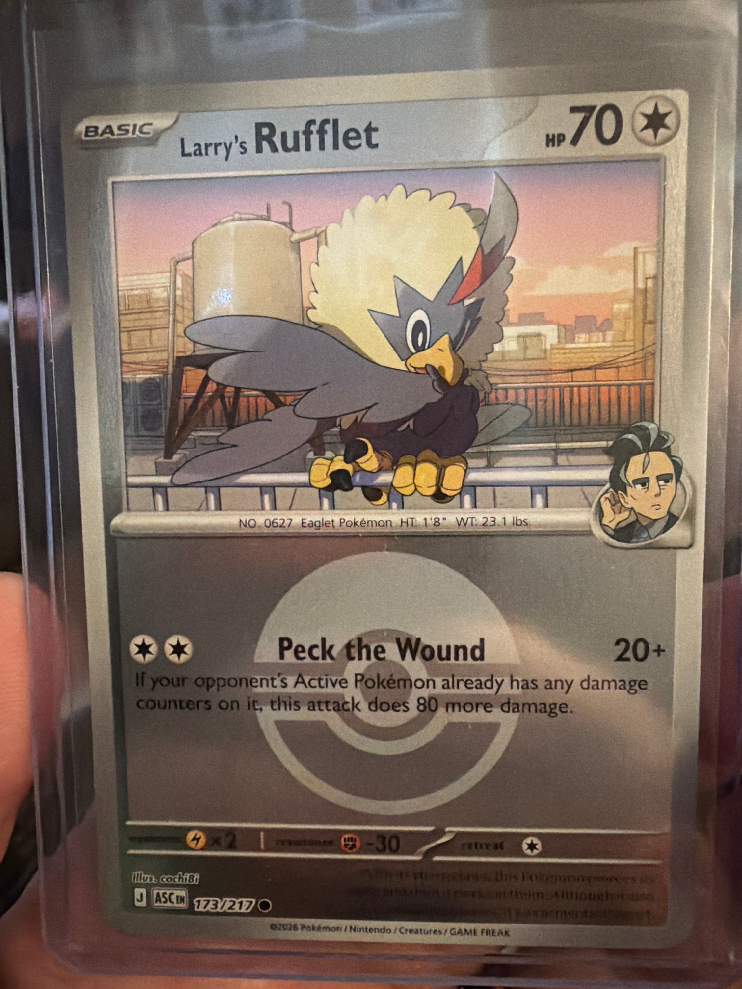 Larry's Rufflet (Poke Ball) - ME: Ascended Heroes (ASC)
