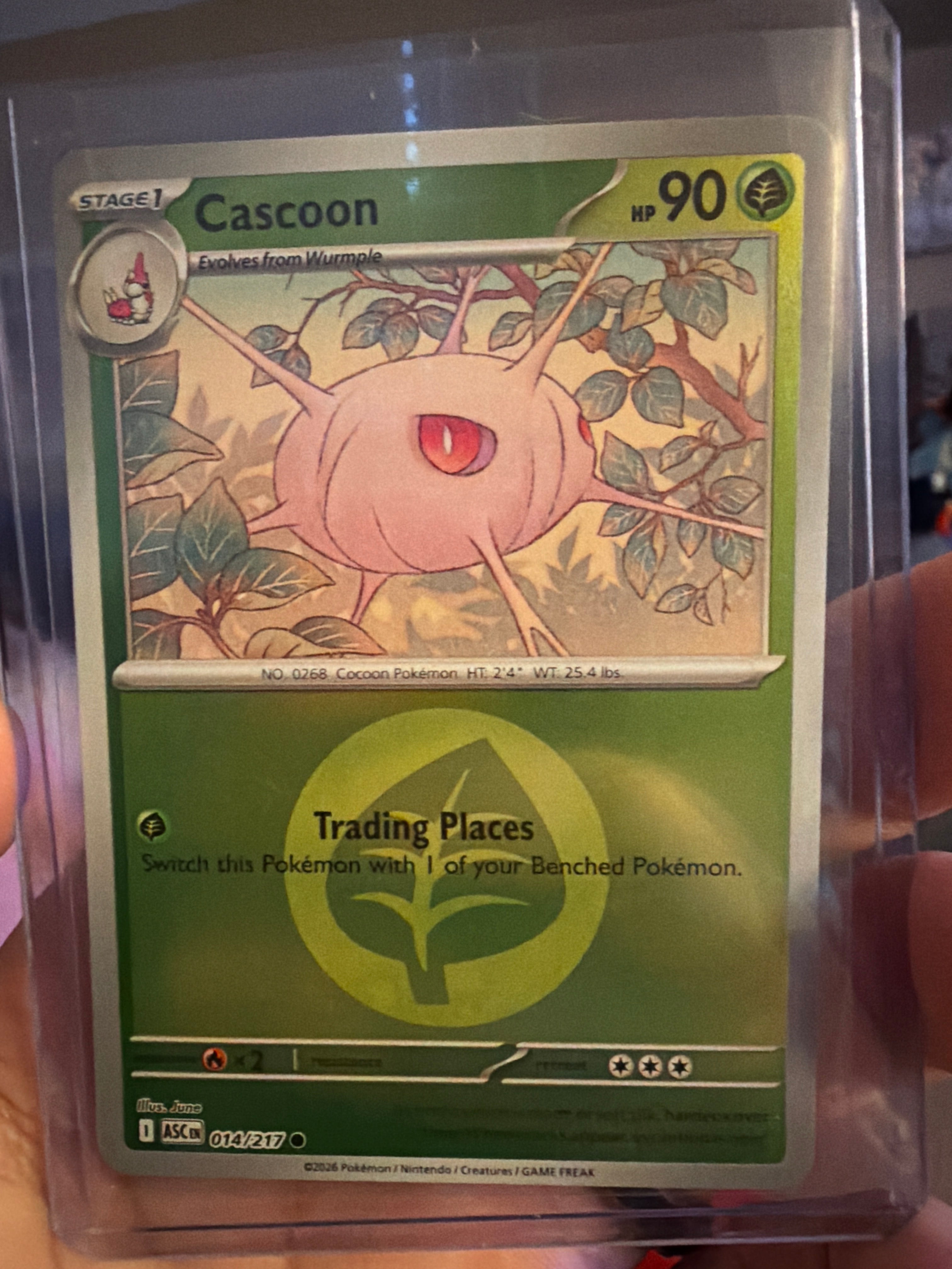 Cascoon (Energy Symbol Pattern) - ME: Ascended Heroes (ASC)