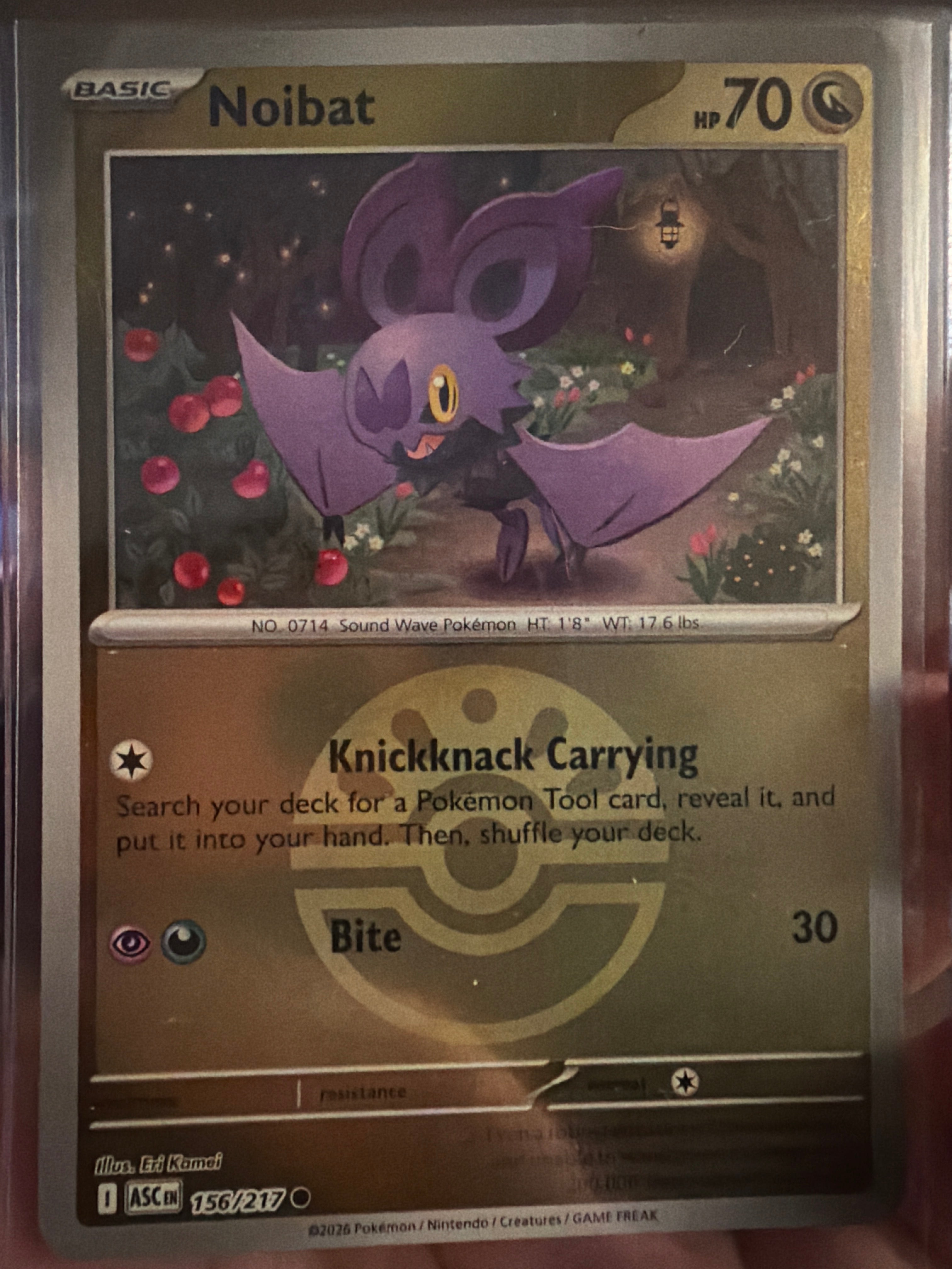 Noibat (Friend Ball) - ME: Ascended Heroes (ASC)