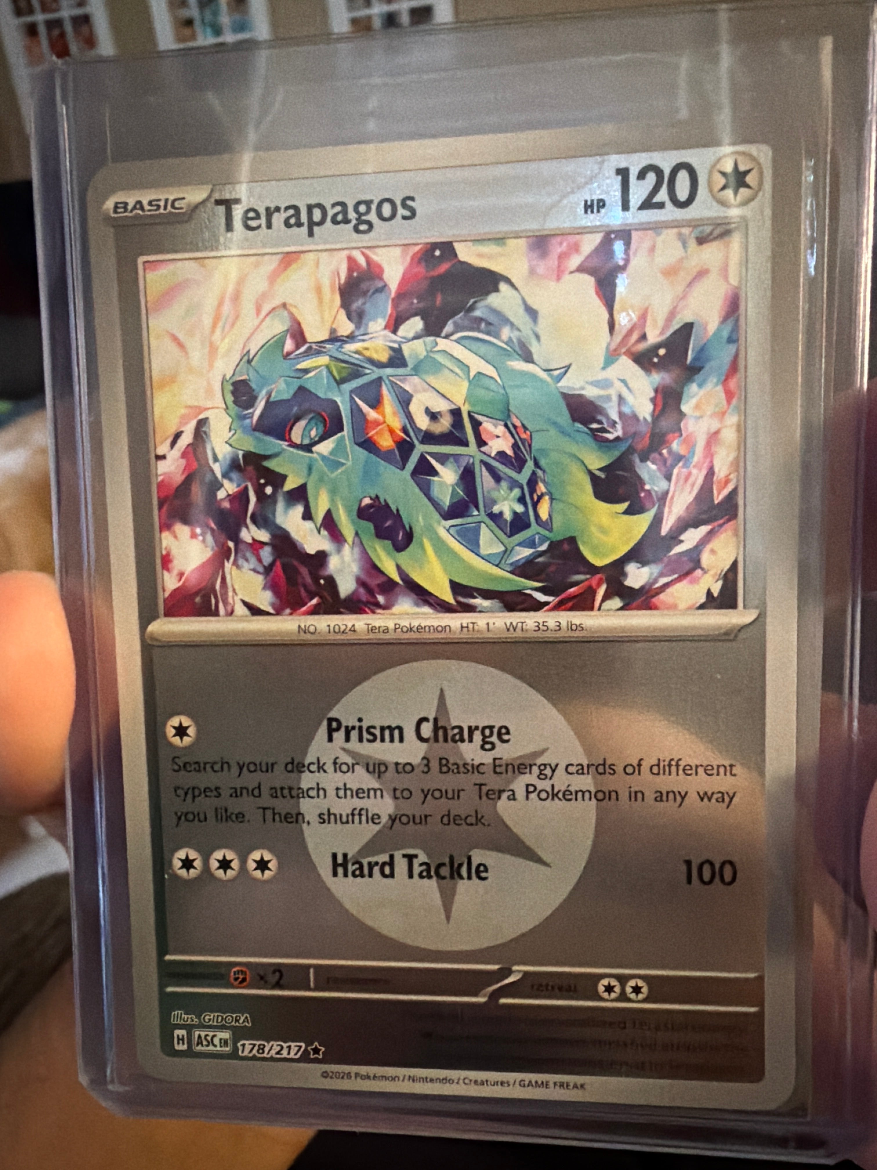 Terapagos (Energy Symbol Pattern) - ME: Ascended Heroes (ASC)