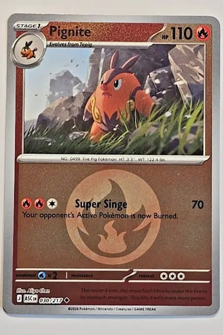 Pignite (Energy Symbol Pattern) - ME: Ascended Heroes (ASC)