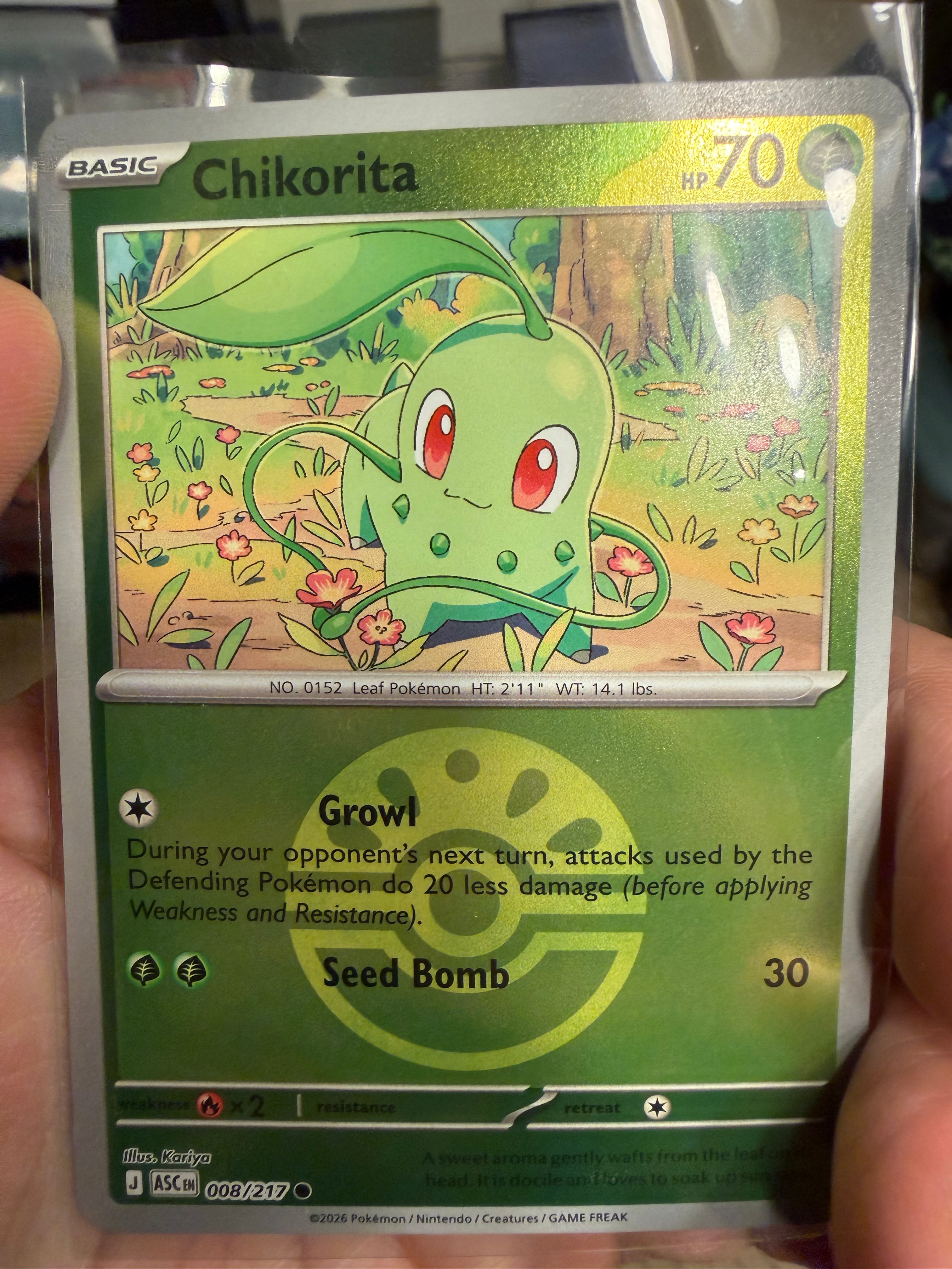 Chikorita (Friend Ball) - ME: Ascended Heroes (ASC)
