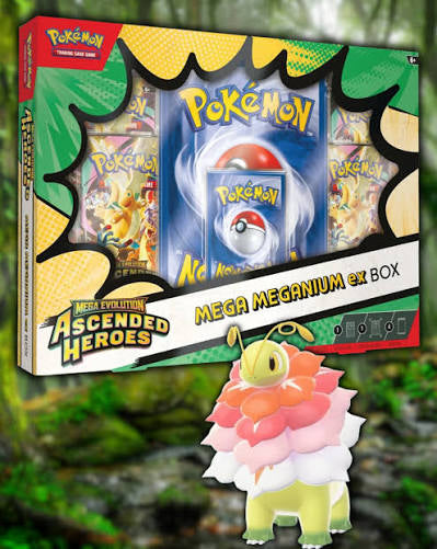Mega Evolution 2.5: Ascended Heroes: Mega Meganium box